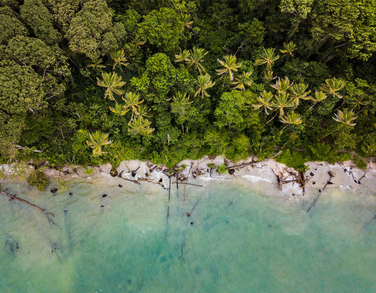 Luchtfoto van bomen in de buurt van de zee Costa Rica