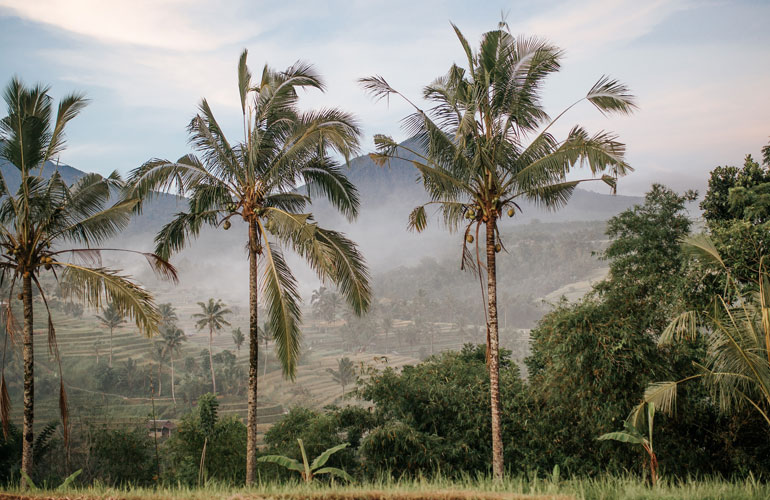 Landschap van Bali