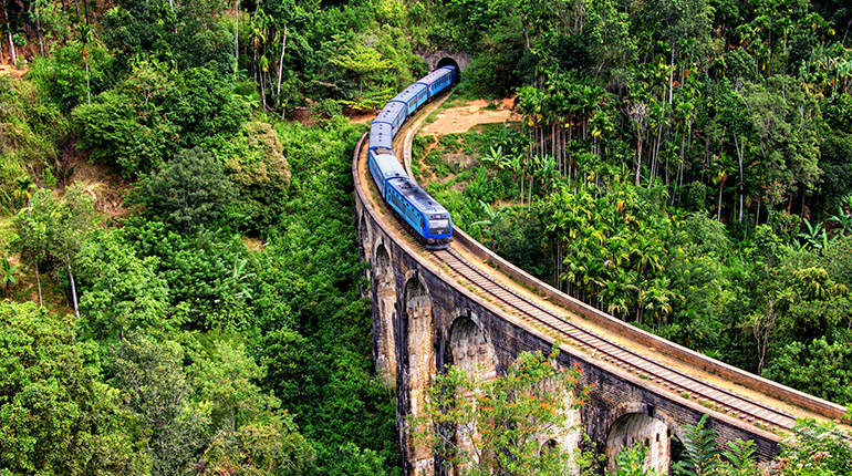 Viaduct met trein van Demodara