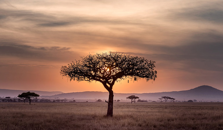 Zonsondergang op de Serengeti