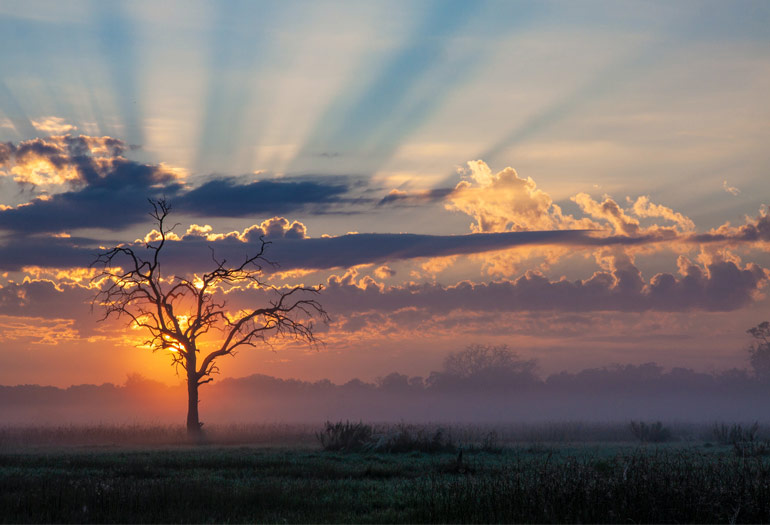 Zonsopkomst in Khwai, Botswana